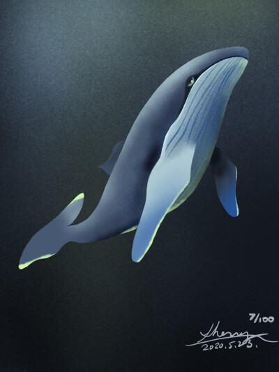 2020.5.23. The whale