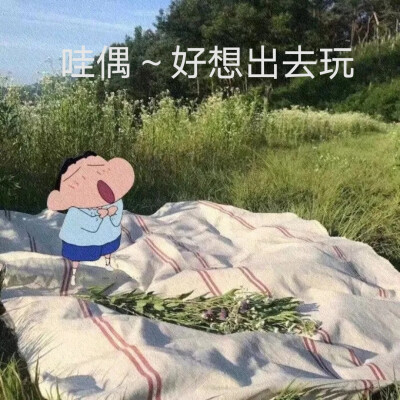 ins蜡笔小新慵懒表情包✨