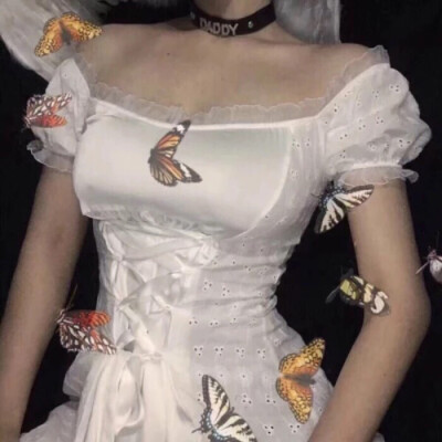 butterfly☆↪※♚