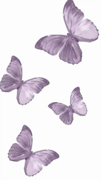 butterfly☆↪※♚