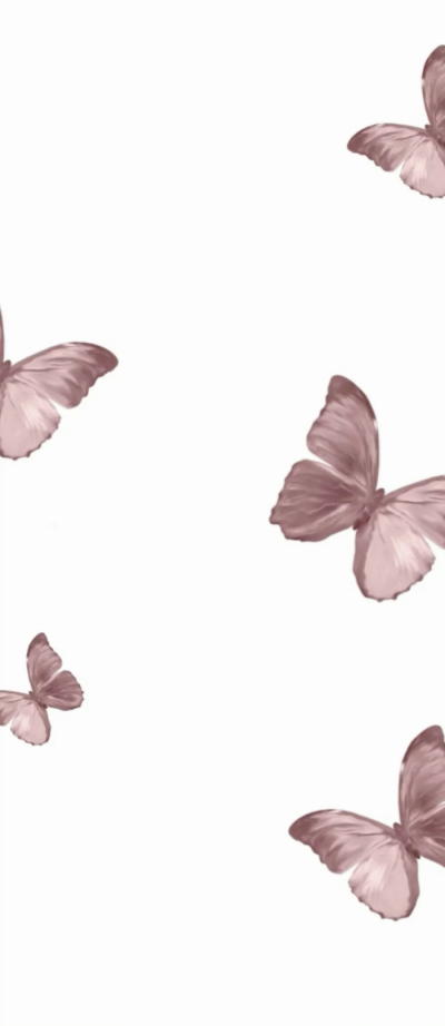 butterfly☆↪※♚