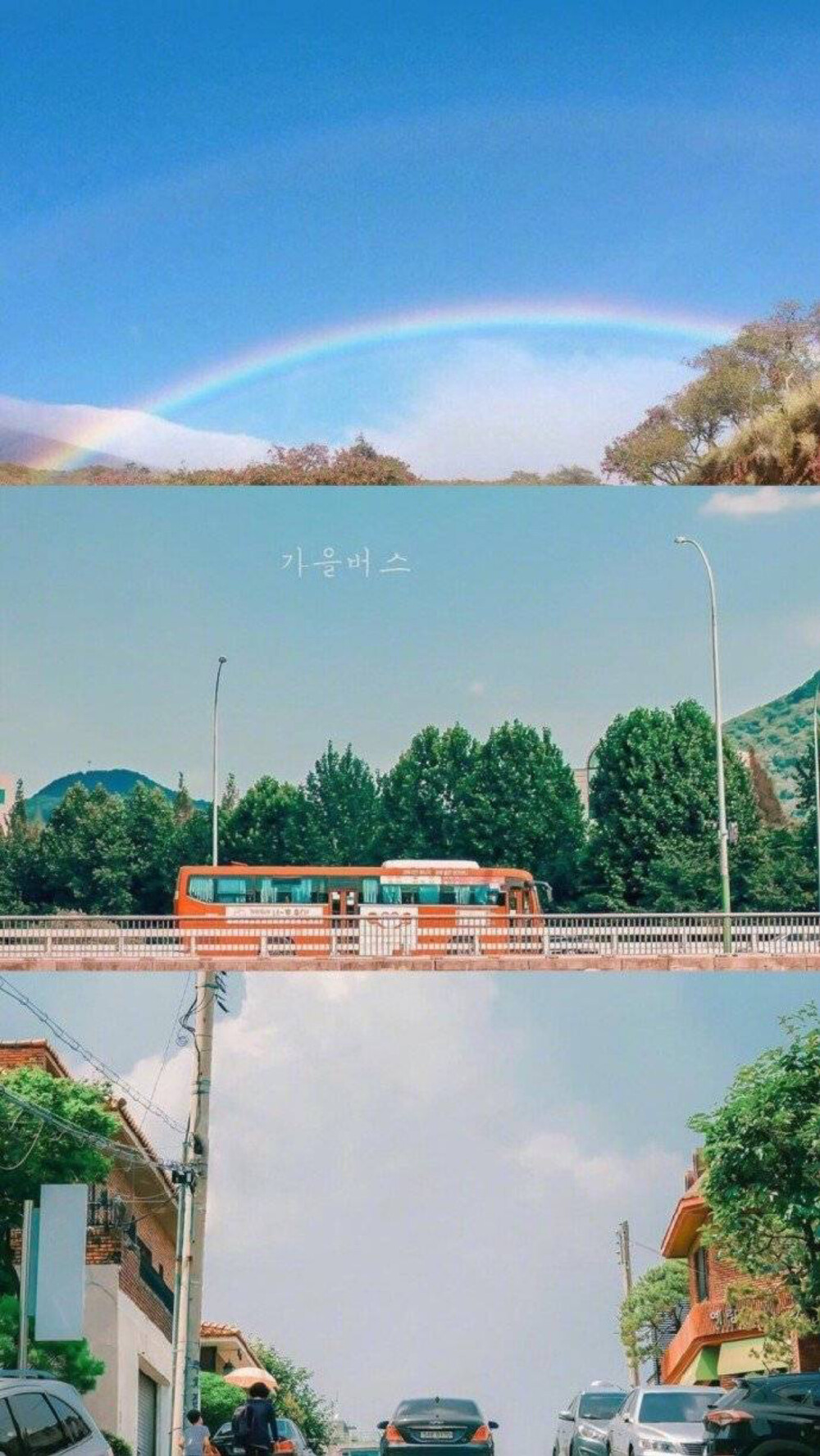 手机壁纸wallpaper