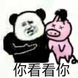 表情包合集