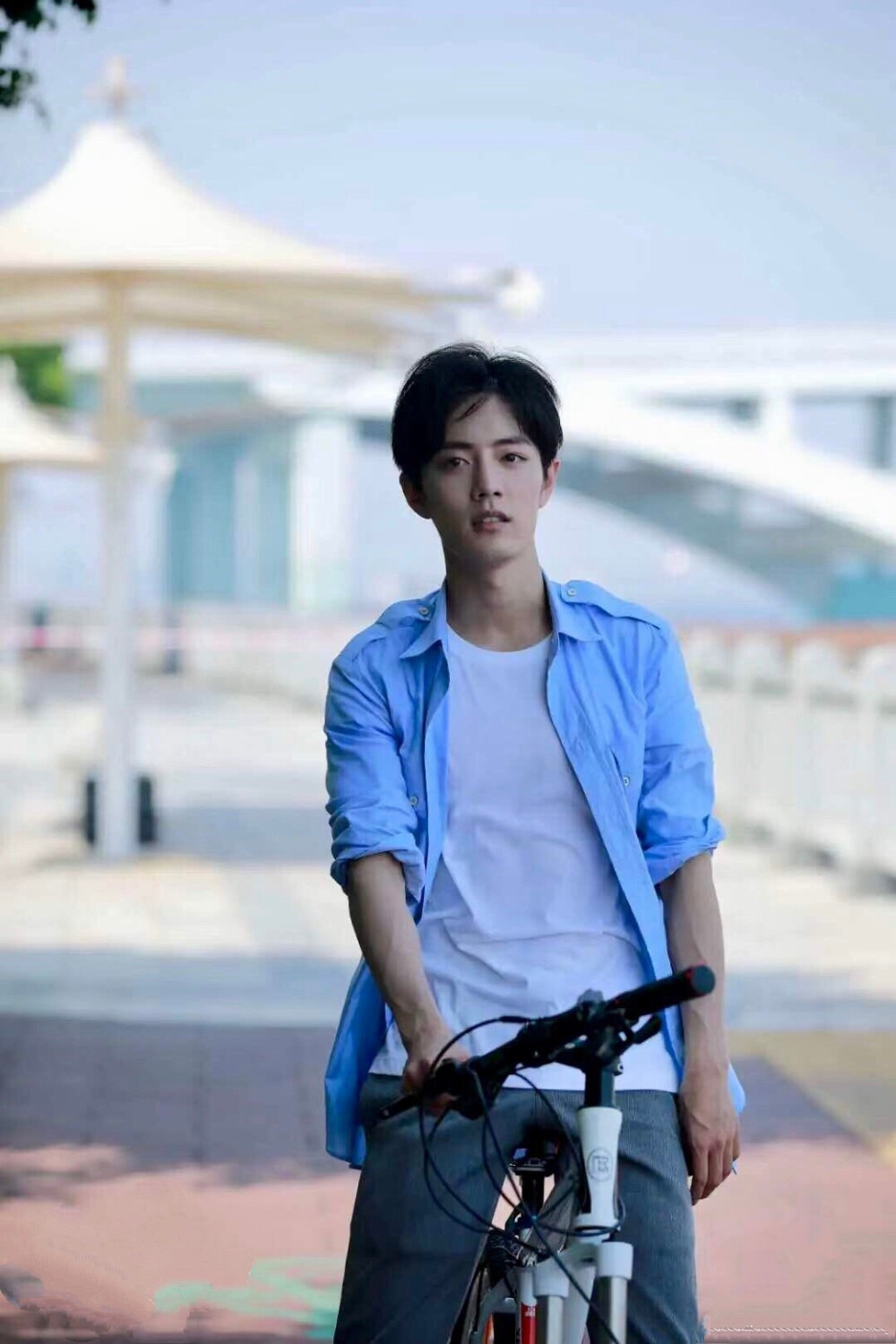 肖战 漫游旅行家 夏日清新