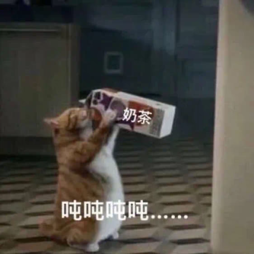 喝！奶茶吨吨吨猫咪
表情包全套