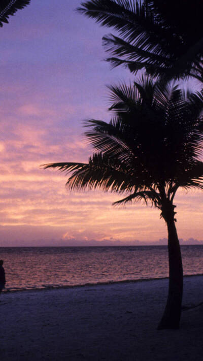 今日夕阳壁纸已签到