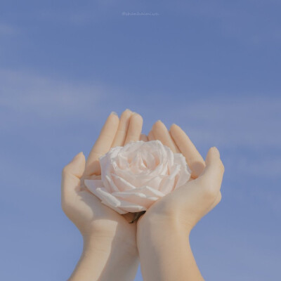 ᴹⁱˢˢ ᵗʰᵉ ᵃᵘᵗᵘᵐⁿ ᵐᵃᵖˡᵉ ʷⁱⁿᵗᵉʳ ˢⁿᵒʷ ʷⁱˡˡ ᵘˢʰᵉʳ ⁱⁿ ᵗʰᵉ ˢᵖʳⁱⁿᵍ ᶜʰᵉʳʳʸ ᵇˡᵒˢˢᵒᵐˢ.
错过了秋枫冬雪便会迎来春天的樱花。
