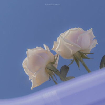 ᴹⁱˢˢ ᵗʰᵉ ᵃᵘᵗᵘᵐⁿ ᵐᵃᵖˡᵉ ʷⁱⁿᵗᵉʳ ˢⁿᵒʷ ʷⁱˡˡ ᵘˢʰᵉʳ ⁱⁿ ᵗʰᵉ ˢᵖʳⁱⁿᵍ ᶜʰᵉʳʳʸ ᵇˡᵒˢˢᵒᵐˢ.
错过了秋枫冬雪便会迎来春天的樱花。
