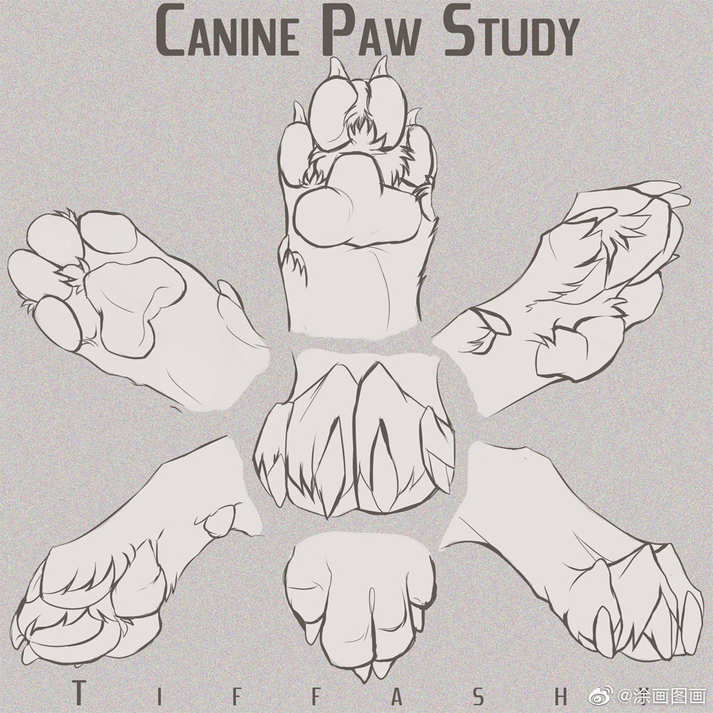 动物局部的画法