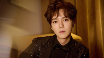 鹿晗<橙光素材> 使用图二转标注明:顾酒黎
禁止二改盗图 自调色