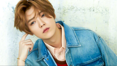 鹿晗<橙光素材> 使用图二转标注明:顾酒黎
禁止二改盗图 自调色