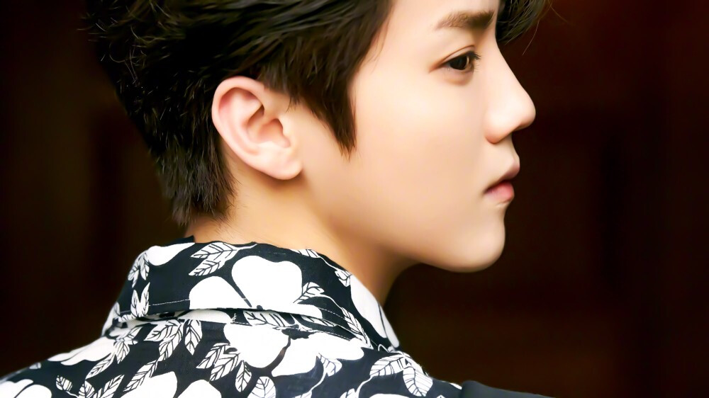 鹿晗 橙光素材> 使用图二转标注明:顾酒黎