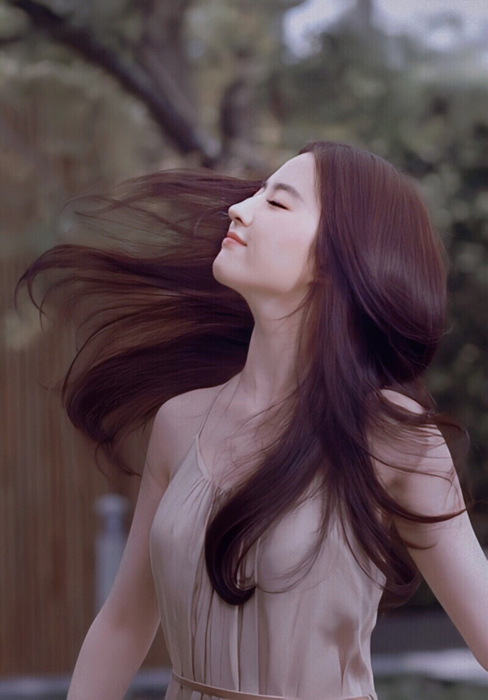 刘亦菲 | 潘婷
