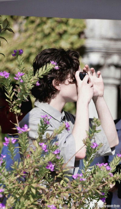 甜茶Timothee Chalamet