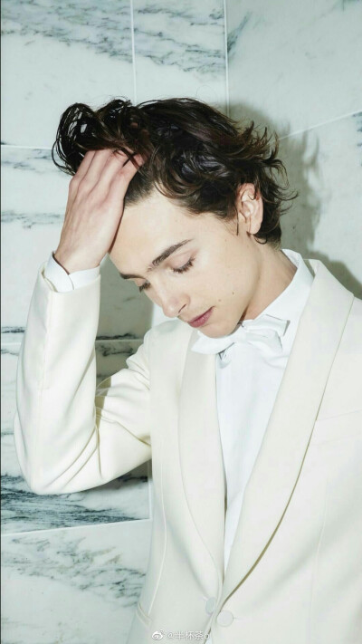 甜茶Timothee Chalamet