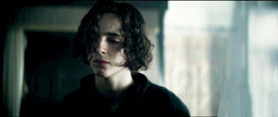 甜茶Timothee Chalamet