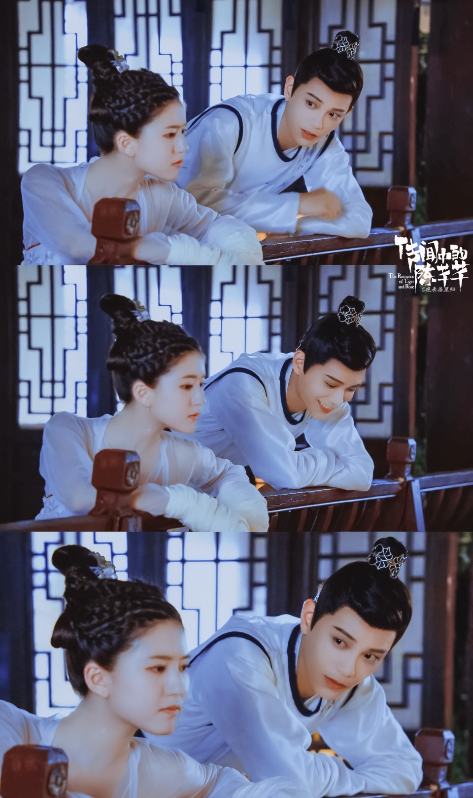 赵露思陈芊芊丁禹兮韩烁