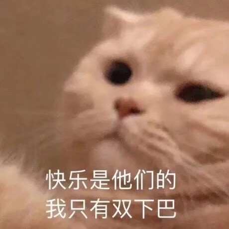 小可爱表情包