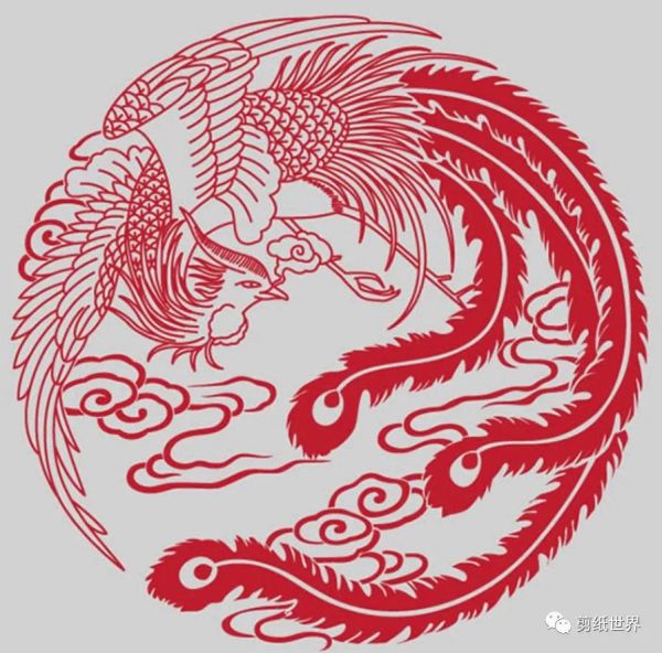 纸