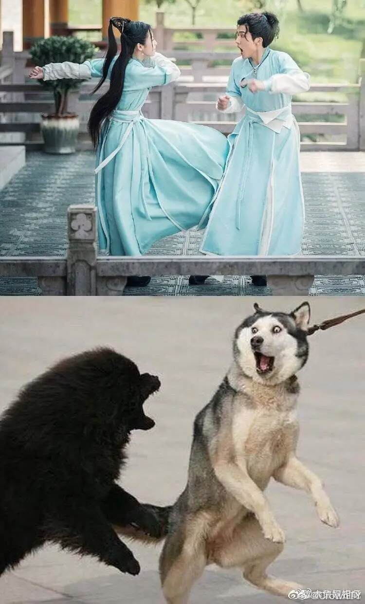 周边 辛赵不宣的日常