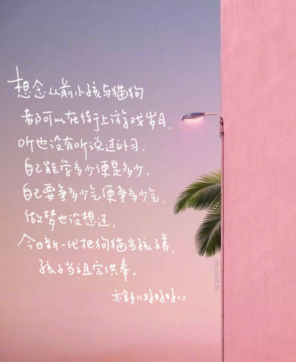 亦舒语录 文字手写