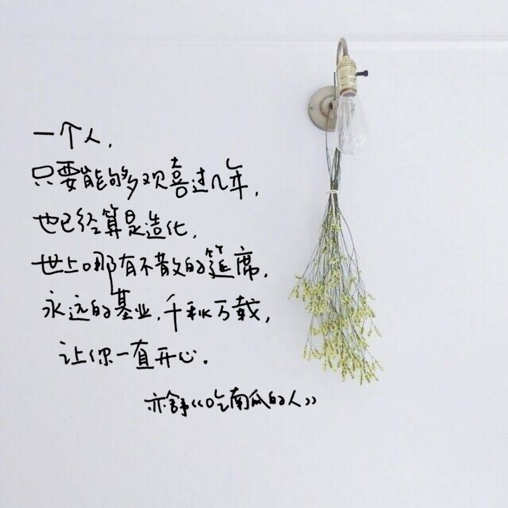 亦舒语录 文字手写