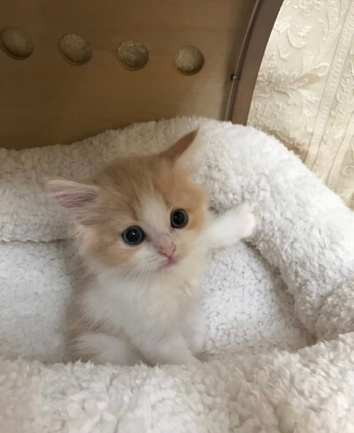 坐端正 ​​​​