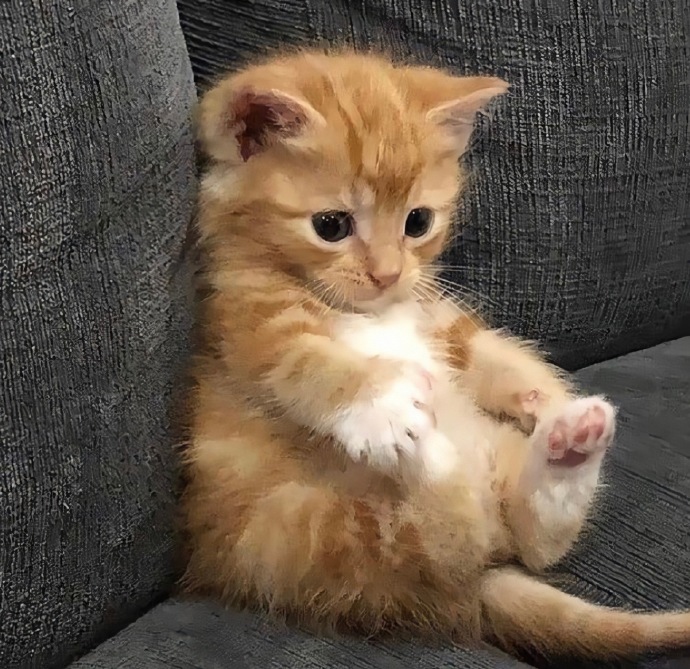 坐端正 ​​​​