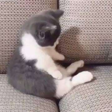 坐端正 ​​​​