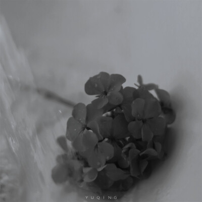 [cp]失 语
摄影@渔青
