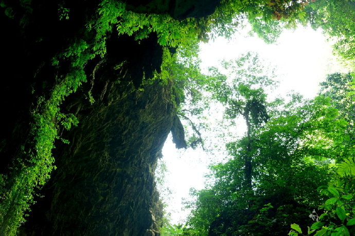 【原创】《等一缕凉风》
闷热的黄昏
独坐开花的树下
等一缕凉风
远方的山
披着霞光
近处的小河
泛着
红的微澜
暮归的鸟儿
追逐云儿
哼着欢快的歌儿
夏蝉
遥望着弯弯的上弦月
诉说
心中绵绵的思念
轻轻地
摇着蒲扇
举头望
树上的花儿
在暮色中
是那样的娇艳
思绪
环绕着花儿飞翔
光阴
回到许多年以前
缘份的天空
蕴含着某种必然
若有缘
风儿总会现
何必在乎
等待的时间是短是长
文/ 韩星
写于二O二O年五月二十五日傍晚