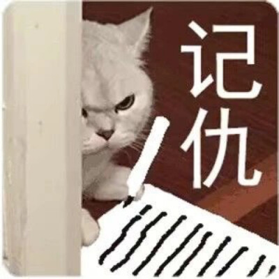 猫猫表情包 记仇