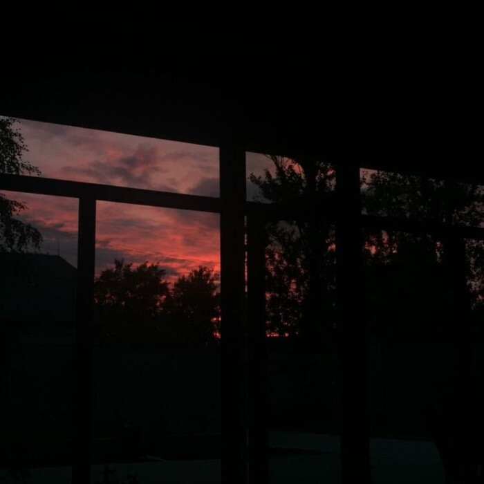 我不孤独，说的浪漫些，我完全自由