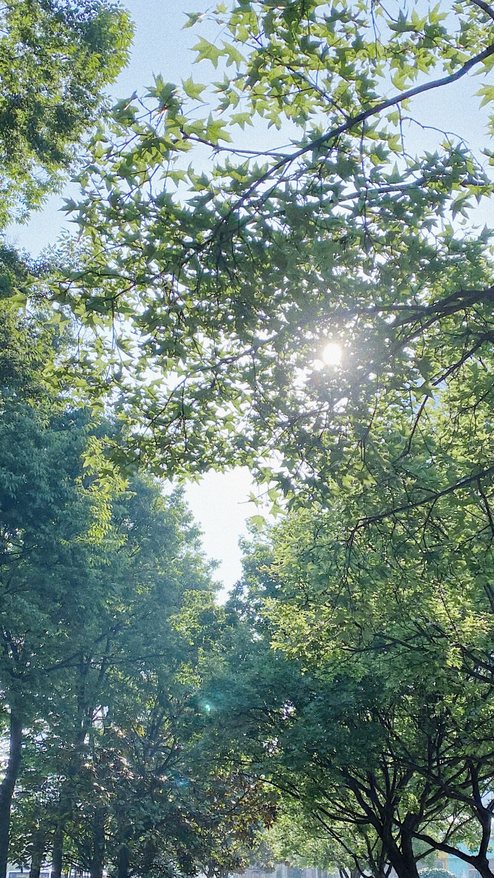 青岛旅行｜ 壁纸