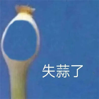 表情包