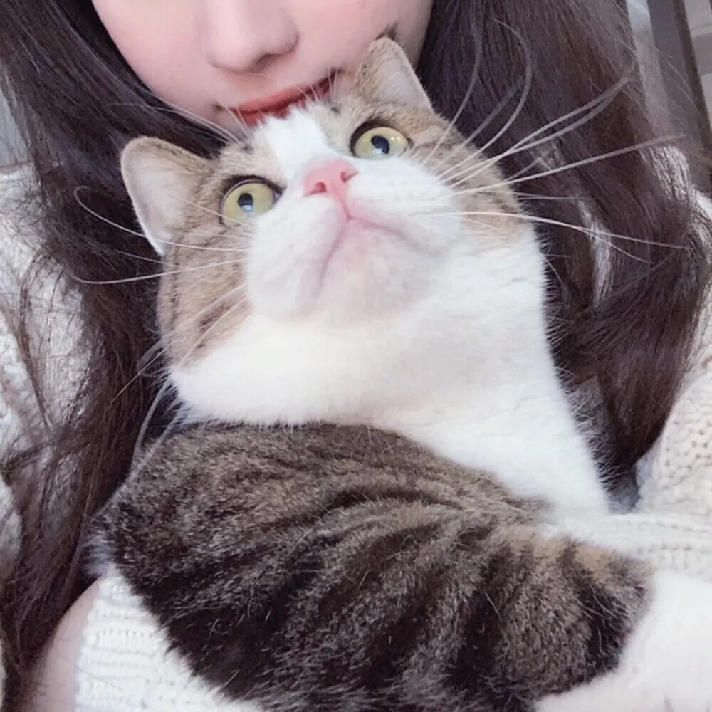 真人抱猫女生头像