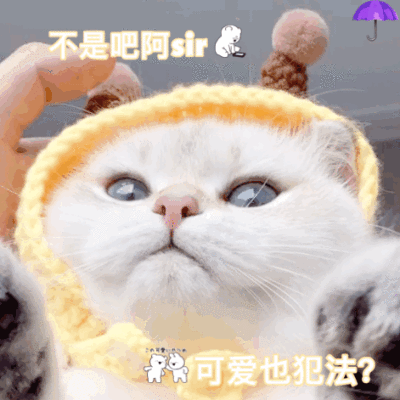 雨伞