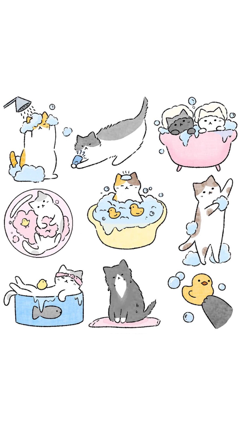 猫咪插画