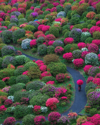 日本青梅市的花园
