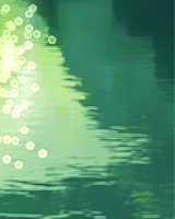 "夏天的风我永远记得_"
夏天生活GIF