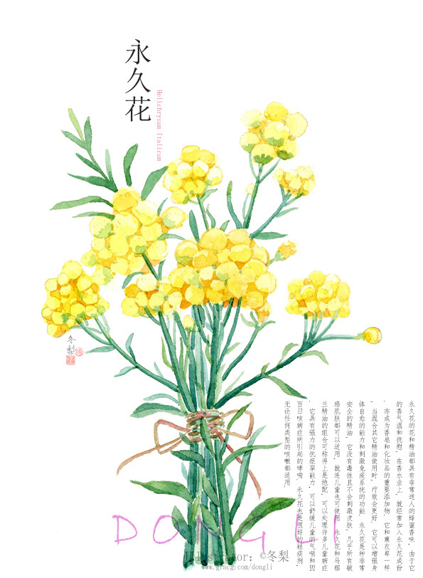 【一组水彩植物の小合集】
算是早期完成的一组插画，重新扫描整理出来。