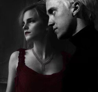 德赫 汤艾
Hermione Granger, Emma Watson; Draco Malfoy, Tom Felton