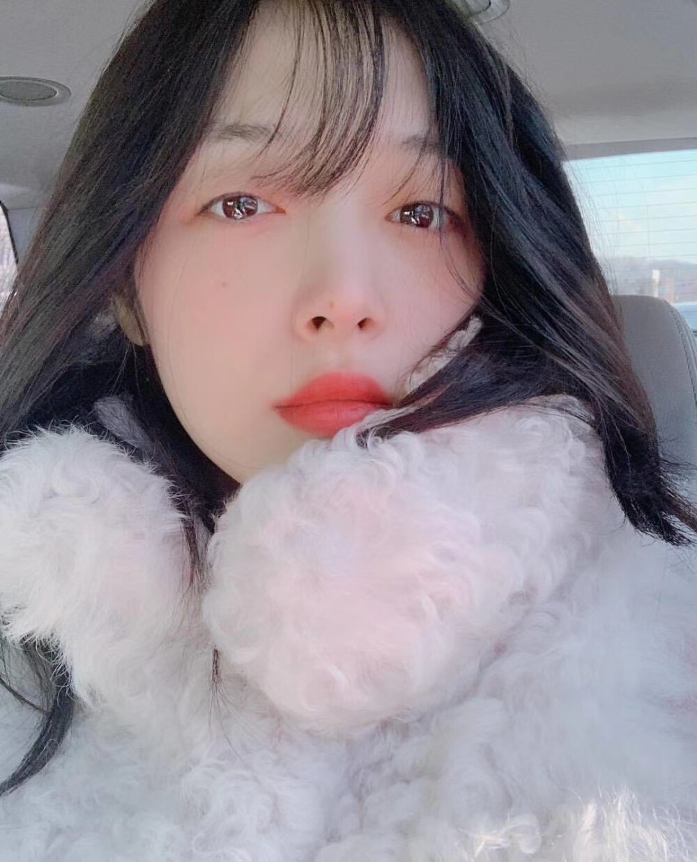 sulli