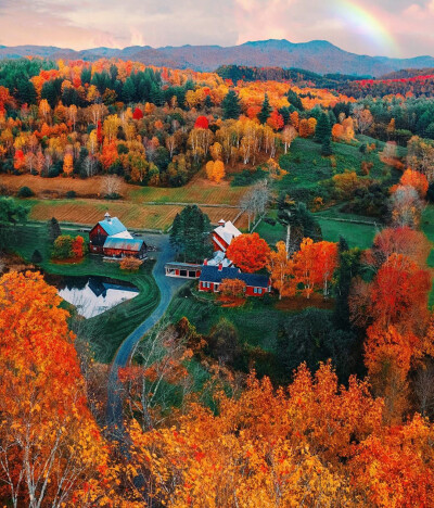 美国 Vermont 佛蒙特州的秋天 ​​​
像是油画家手里的调色盘