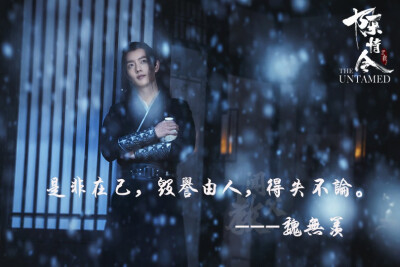 陈情令 魏无羡台词