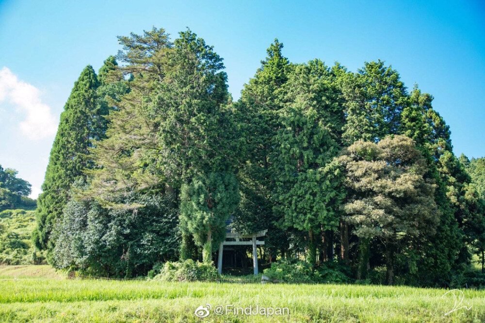 京都