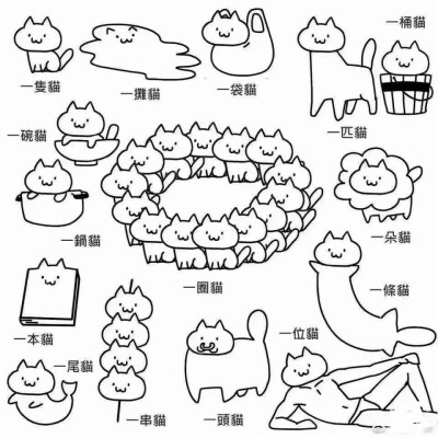 猫咪是液体