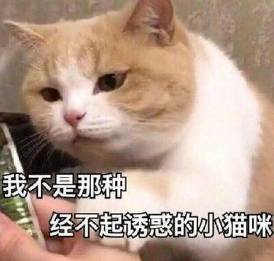 恋爱表情包