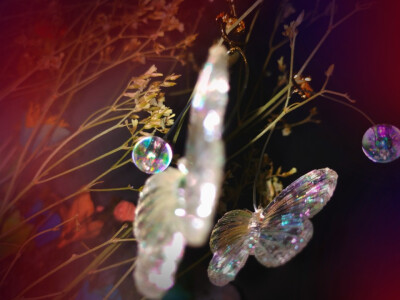 睡前吃了一个胡萝卜，脆脆甜甜