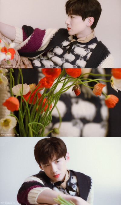 白敬亭
cr•亭好吃的